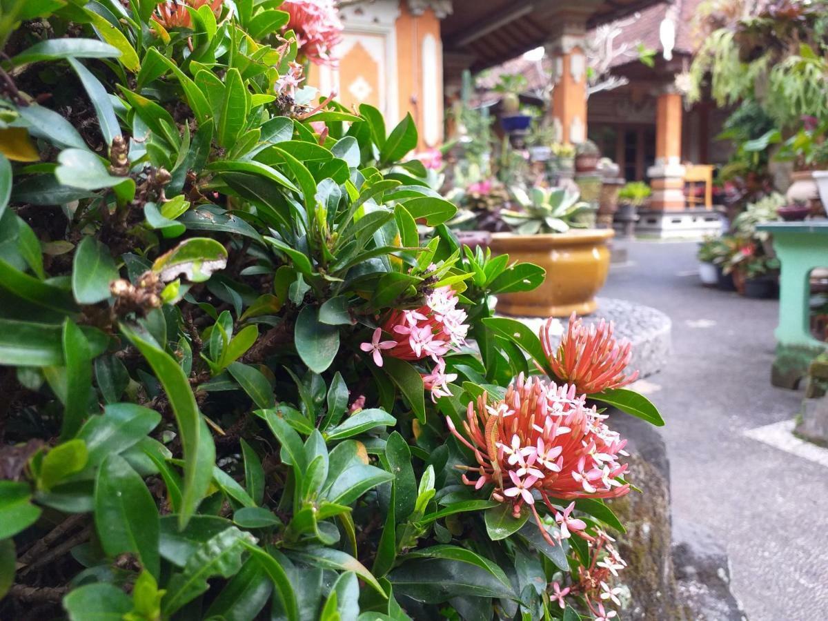 Puri Asri Bungalow Ubud Hotel Exterior photo